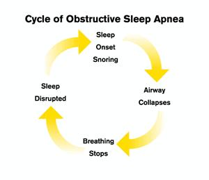 Osa_cycle